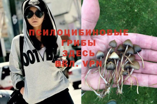 а пвп мука Абдулино