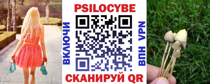 как найти наркотики  Челябинск  Псилоцибиновые грибы мицелий 